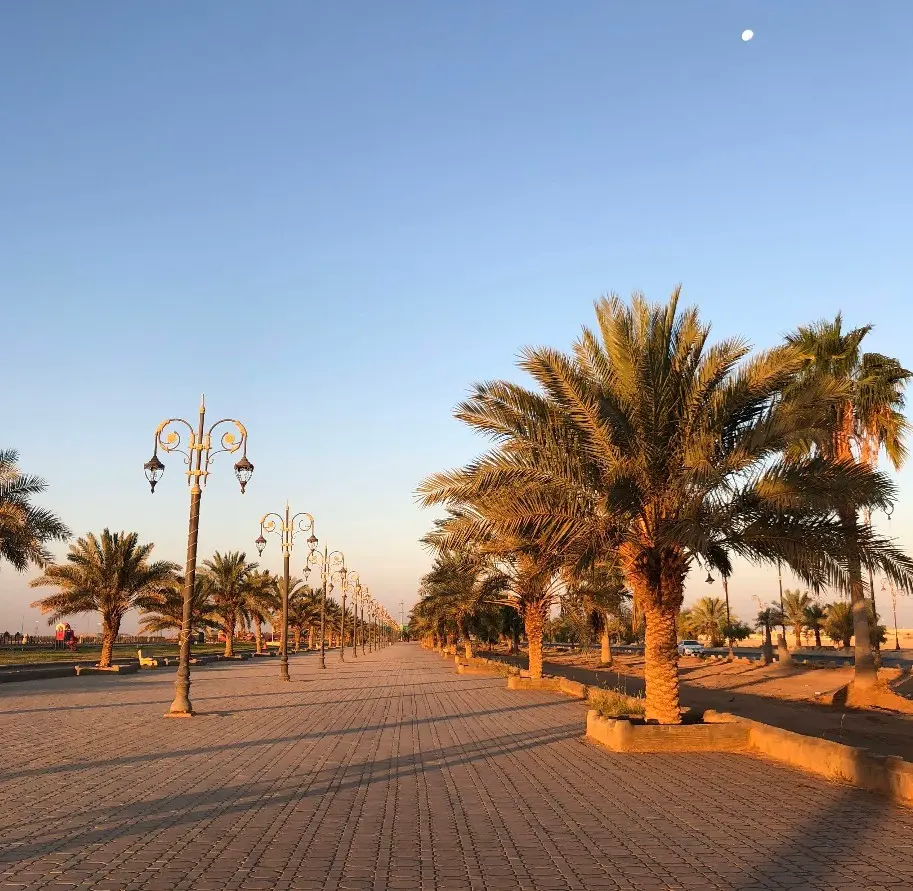 Arar