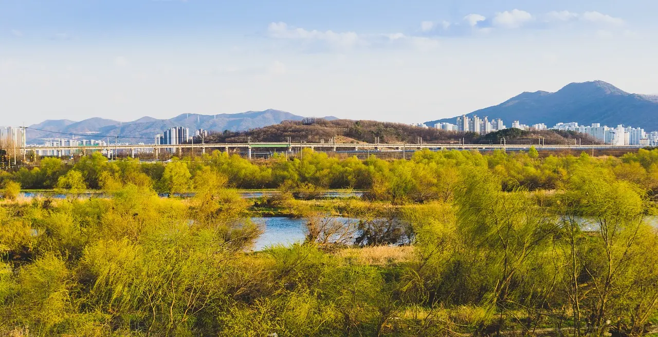 Daegu
