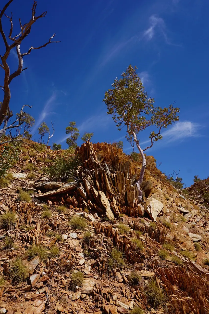 Mount Isa