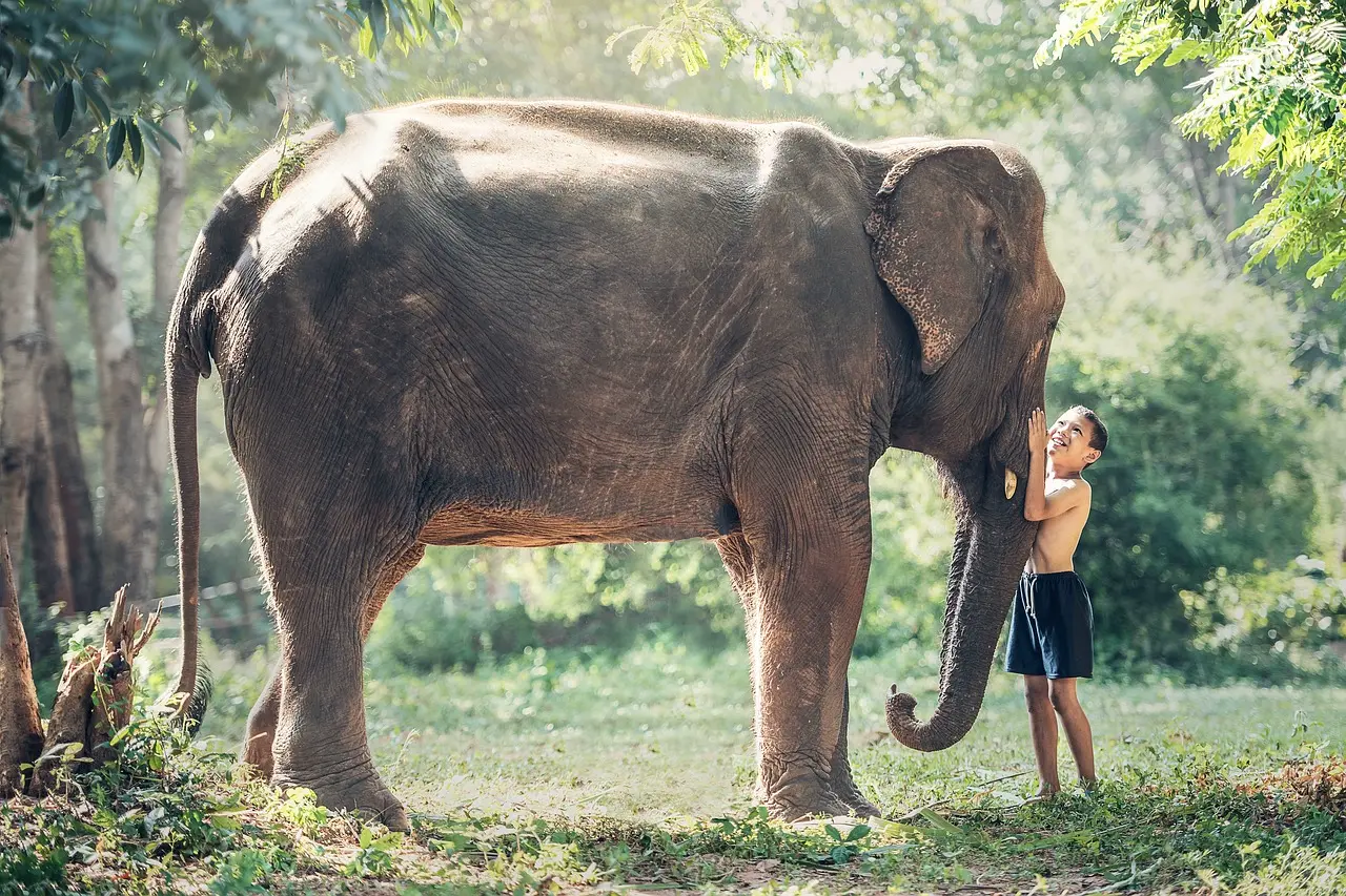 Nakhon Si Thammarat
