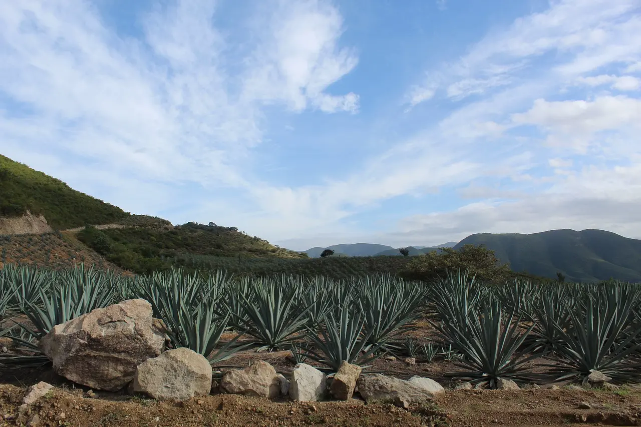 Oaxaca