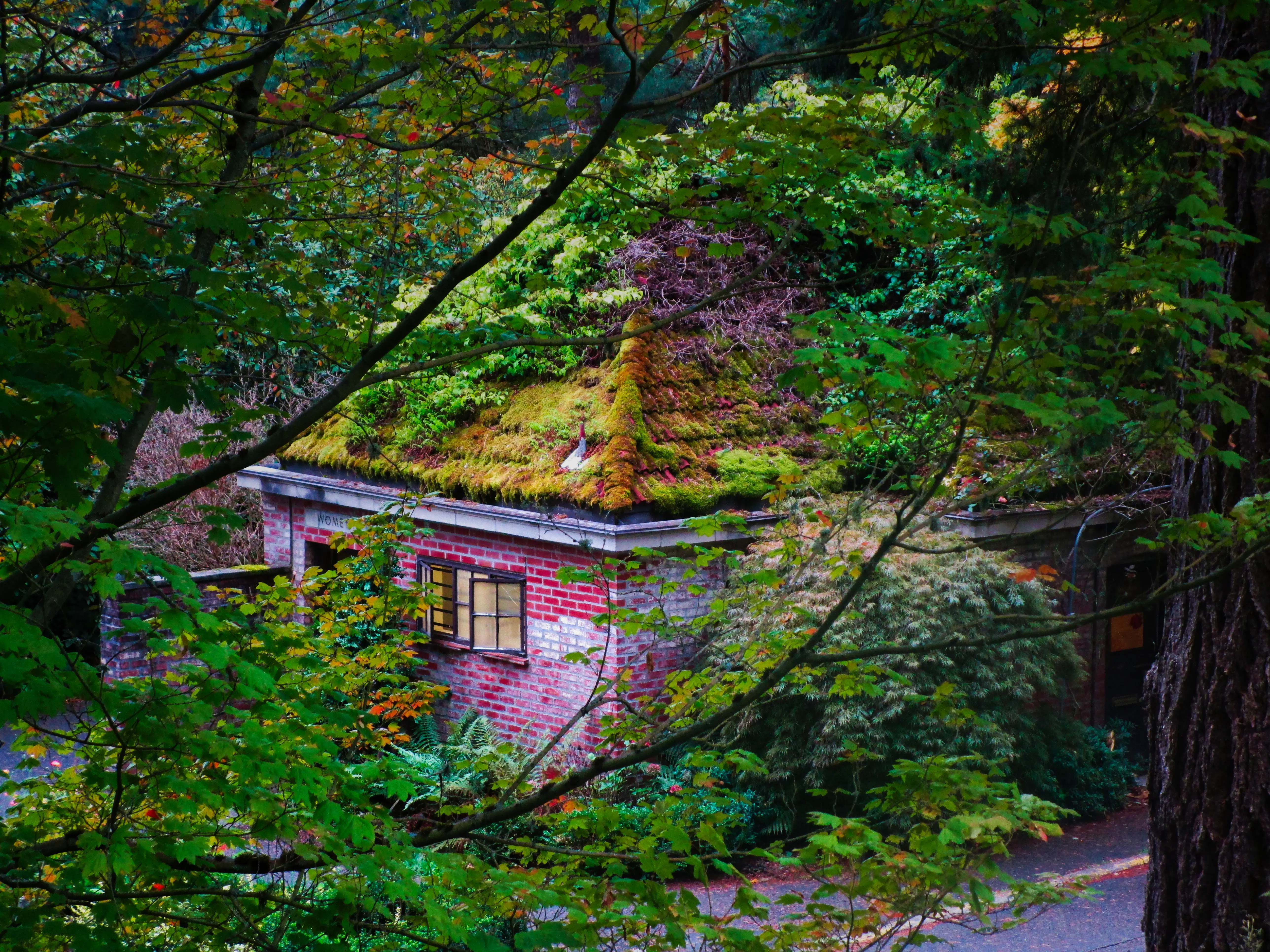 Portland